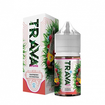 Купить Ароматизатор TRAVA "RASPBERRY SCHWEPPES (Малиновый швепс)" 13мл (на 30мл) Ароматизатор TRAVA "RASPBERRY SCHWEPPES (Малиновый швепс)" 13мл (на 30мл)